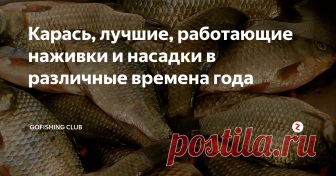 Карась, лучшие, работающие наживки и насадки в различные времена года  Пришла весна, растаял лед на водоемах, начала постепенно прогреваться вода. В это время огромные косяки карасей устремляются в верховья водоема. Здесь небольшая глубина, следовательно быстрее прогреется вода, проще и быстрее найти корм а самое главное благоприятные условия для нереста. Но до нереста еще далеко, сейчас где то средина апреля.
В это время клюют самые круп