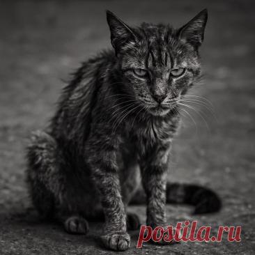 Обрыв - OGADANIE.RU