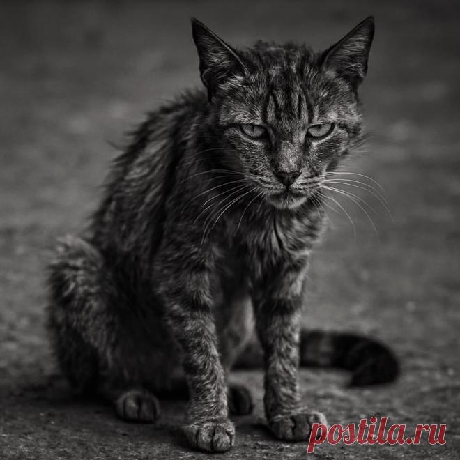 Обрыв - OGADANIE.RU