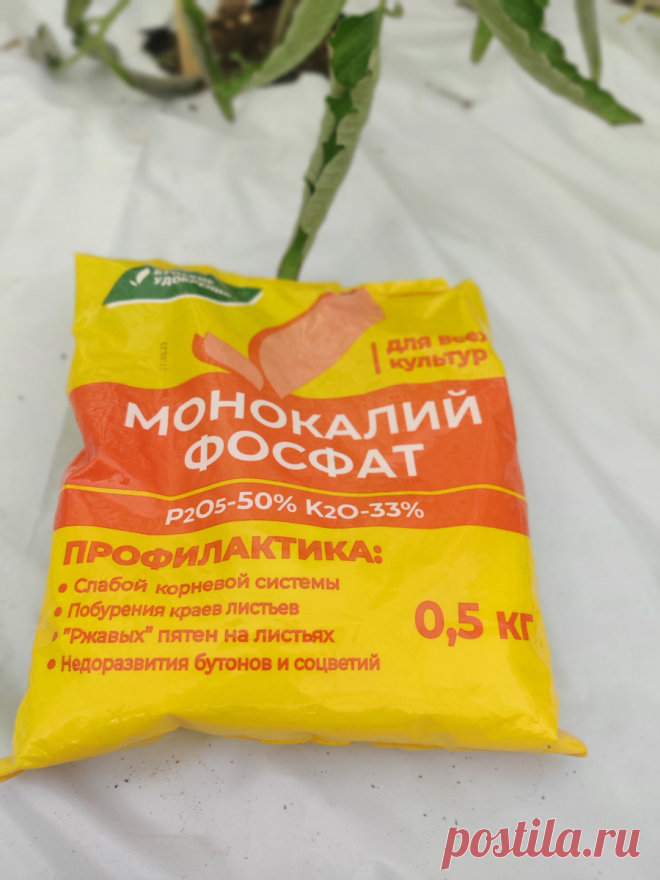 Монофосфат калия: главное удобрение для томатов | уДачи! | Дзен