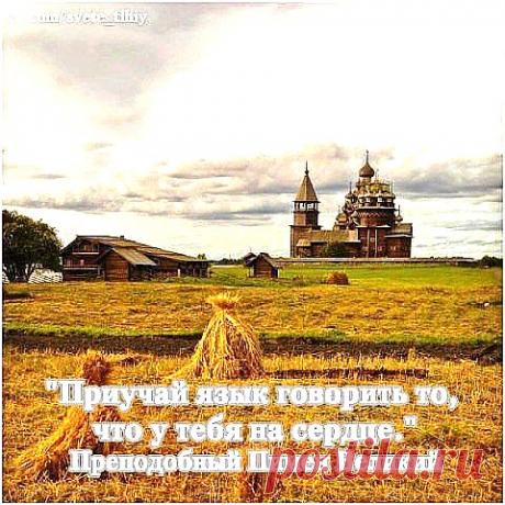 (23) Одноклассники