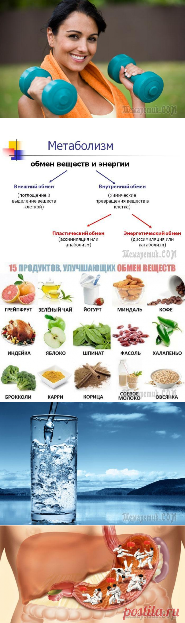 Особенности и способы ускорения метаболизма