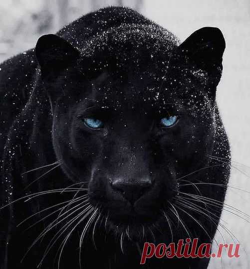 (20+) Facebook