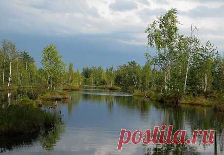 22 августа 2013 г. Конаковский Мох