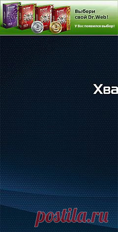 Скачать программы бесплатно