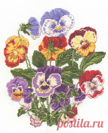 Pansy/pansies/violas puntada cruzada contada Kit o gráfico 14s Aida | eBay