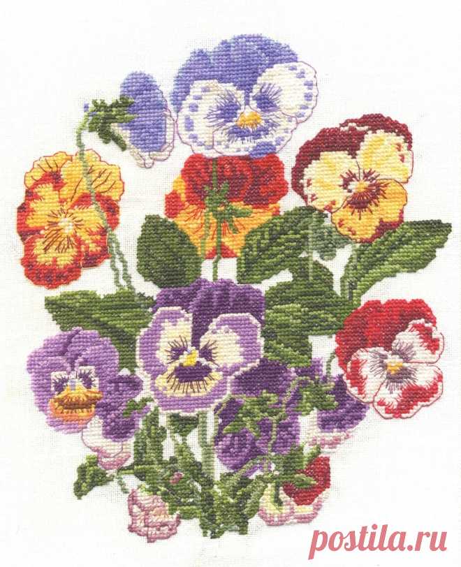 Pansy/pansies/violas puntada cruzada contada Kit o gráfico 14s Aida | eBay