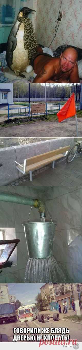 Такое возможно только в России - Фишки.нет