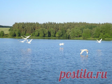 Ландшафтный дизайн
Наталия Бурко (Когаль)