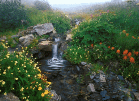 Yalcin Biricik – Google+