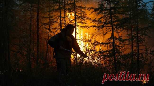 В России за сутки потушили 61 лесной пожар