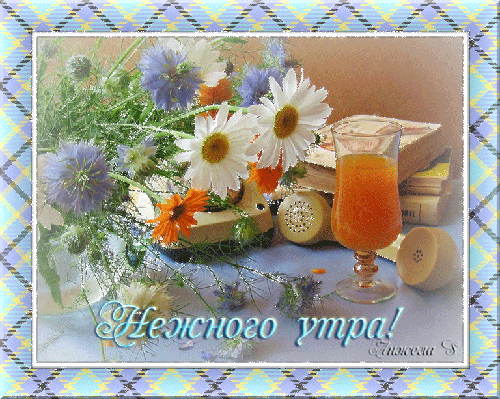 Нежного утра!