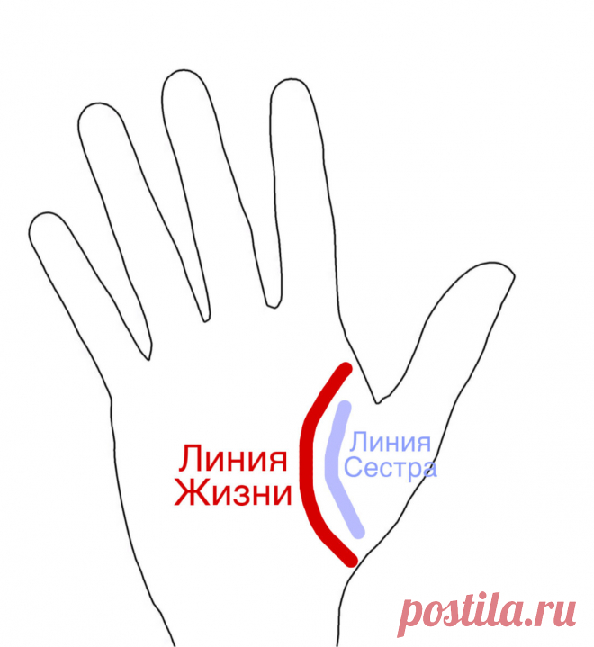 Хиромантия. Линия дополнительной помощи и защиты. | Виктория Кутукова | Яндекс Дзен