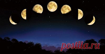 Влияние Луны на лечение человека.ЗДЕСЬ--- http://www.akviloncenter.ru/medicine/moon_pr.htm ЗДЕСЬ:лунные фазы и здоровье--- http://www.plam.ru/healt/luna_i_krepkoe_zdorove/p2.php