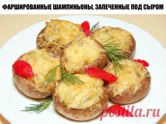 Фаршированные шампиньоны, запеченные под сыром
Очень простая в приготовлении, но очень вкусная и симпатичная грибная закуска.
 
Ингредиенты:
✓ Грибы шампиньоны крупные — 10 шт;
✓ Куриное филе — 200 гр;
✓ Сыр твердый — 100 гр;
✓ Репчатый лук — 1 шт;
✓ Зелень;
✓ Соль;
✓ Черный молотый перец;
✓ Сметана — 2 ст. л;
✓ Растительное масло — 3 ст. л