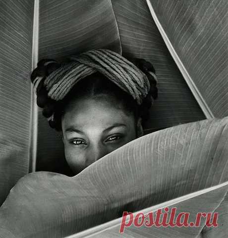 Всё о женщинах