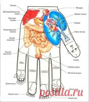 "Заставляет насиловать друг друга и бьёт": жуткий рассказ воспитанников интерната