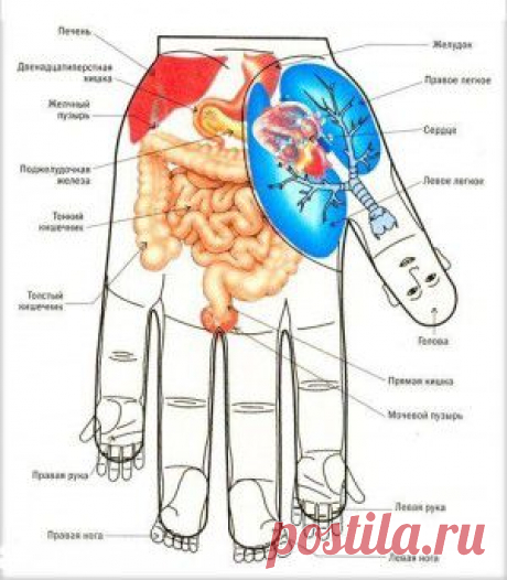 &quot;Заставляет насиловать друг друга и бьёт&quot;: жуткий рассказ воспитанников интерната
