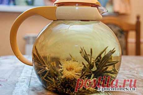 Польза и вред зелёного чая &amp;raquo; Великая Эпоха