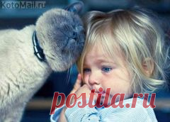 Apskatīt ziņojumu - Inbox Mail