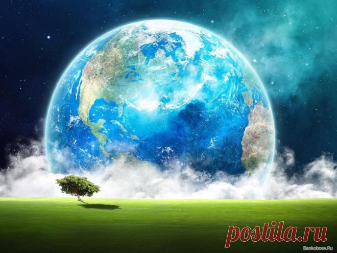 Земля и зелёное дерево