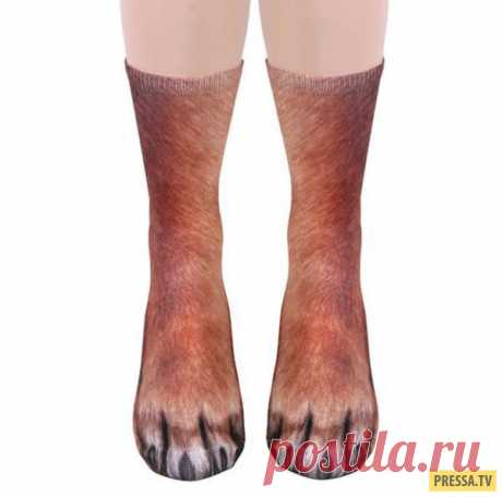 Креативные носки для любителей диких животных (4 фото) | Чёрт побери Пост посвящается всем любителям креативных носков. А таких много, мы знаем! Для любителей необычных носков появилась еще одна прикольная серия от американской компании What on Earth. Надевая носки из коллекции «Sublimated Paw Crew Socks» ваши ноги превратятся в лапы диких животных. Например, в лапы тигра или лисы. Рисунок нанесен со всех сторон с помощью специальной сублимационной печати. Поэтому краски н...