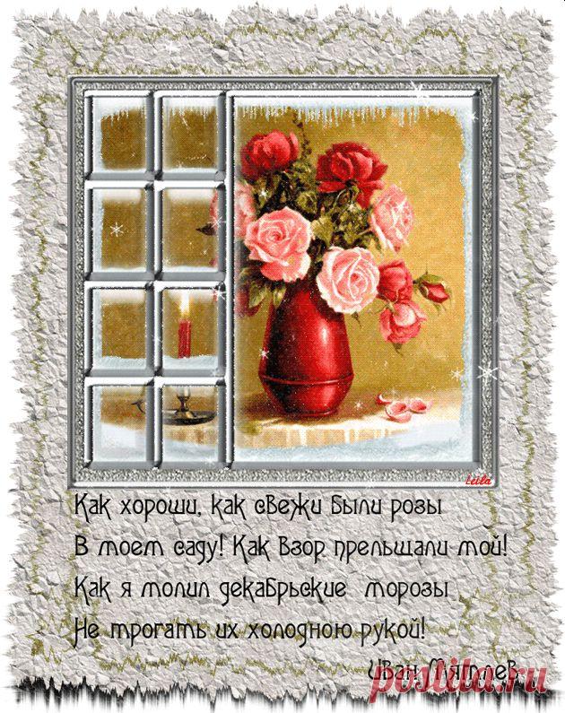 Как хороши,как свежи были розы... | ЭКСКЛЮЗИВ МАСТЕРОВ АНИМАЦИИ | Группы Мой Мир