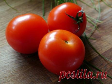 Блог сайта «Дачный участок»