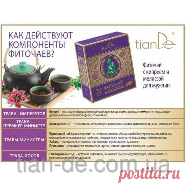 Фиточай с кипреем и мелиссой для мужчин купить за 99 грн в Запорожье - TianDe