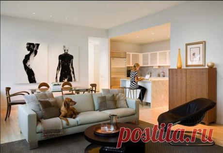 Как оформить уголок для собаки — Мой дом