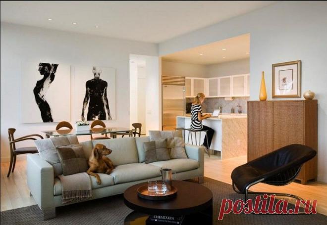 Как оформить уголок для собаки — Мой дом