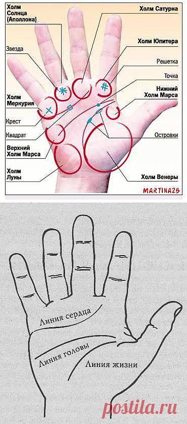 ДИАГНОСТИКА ЗАБОЛЕВАНИЙ ПО РУКЕ.