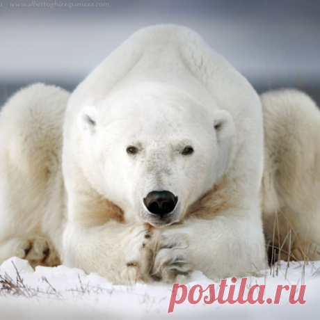 Красивейшие фотографии для обоев на ваш рабочий стол