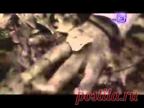 документальный цикл &amp;quot;Нечисть&amp;quot;. Русалки. от 25.10.2012 - YouTube