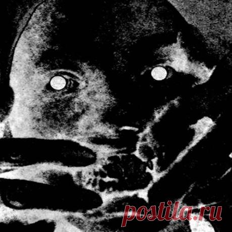© FREEDNB.COM Fresh Releases Download in MP3 320 kbps, FLAC, WAV For DJs. » Page 13
