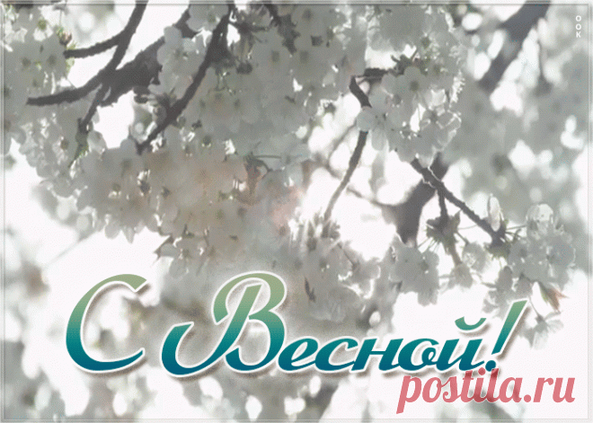 Красивая открытка с весной