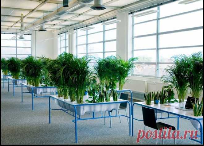 Работать на свежем воздухе – что может быть лучше?! Но как этого добиться в условиях мегаполиса или даже маленького города? Об этом сегодня на roomble