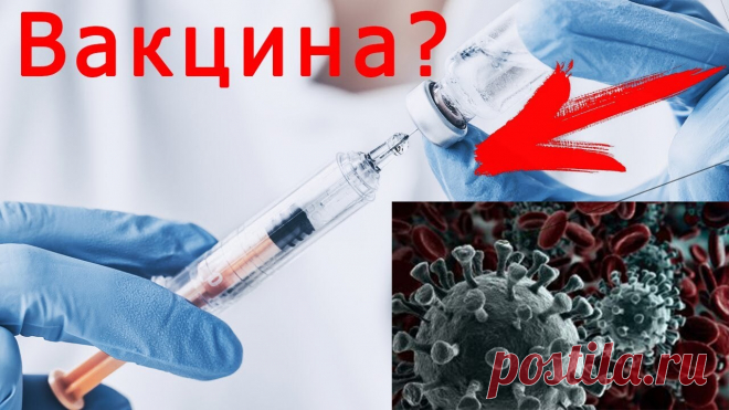 Где взять прививочный сертификат о вакцинации от Covid-19 в 2021 году – как получить через Госуслуги