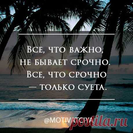 МОТИВАЦИЯ (@motivatciya) • Фото и видео в Instagram