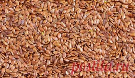 Кому и чем полезны семена льна | Дары природы | Яндекс Дзен