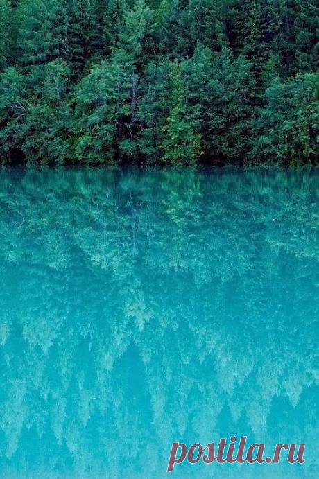 Пожалуй, лучшая притча о том, как заставить желания работать.
— На задворках Вселенной находился один магазинчик. Вывески на нем давно уже не было — ее когда-то унесло ураганом, а новую хозяин не стал прибивать, потому что каждый местный житель и так знал, что магазин продает желания.
Ассортимент магазина был огромен, здесь можно было купить