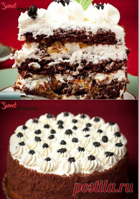 Шоколадный торт с черносливом и орехами | Sweet Twittes