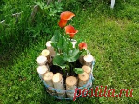 Клумба из чурбанов