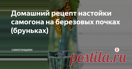 Домашний рецепт настойки самогона на березовых почках (бруньках) Настойка на березовых почках – мягкий спиртной напиток с характерным ароматом, который ассоциируется с весной. В ассортименте многих производителей алкоголя есть подобные настойки, но куда лучше сделать «березовку» в домашних условиях и быть уверенным в её качестве. Тем более что рецепт очень простой.
Больше статей на наших каналах: Телеграм, Вконтакте, Яндекс Дзен, Одноклассники
На этикетках заво