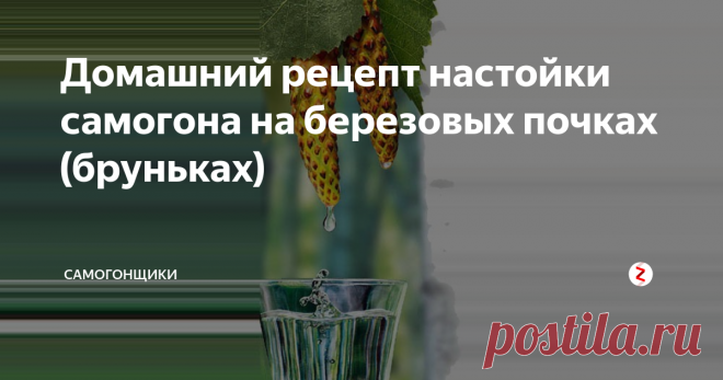 Домашний рецепт настойки самогона на березовых почках (бруньках) Настойка на березовых почках – мягкий спиртной напиток с характерным ароматом, который ассоциируется с весной. В ассортименте многих производителей алкоголя есть подобные настойки, но куда лучше сделать «березовку» в домашних условиях и быть уверенным в её качестве. Тем более что рецепт очень простой.
Больше статей на наших каналах: Телеграм, Вконтакте, Яндекс Дзен, Одноклассники
На этикетках заво