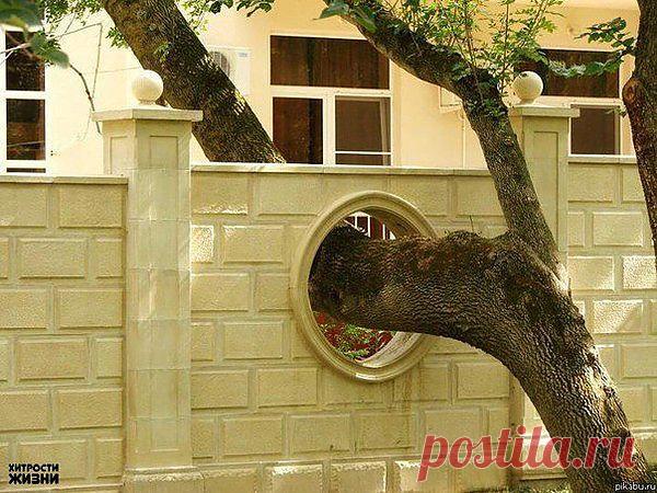 Мой Мир@Mail.Ru