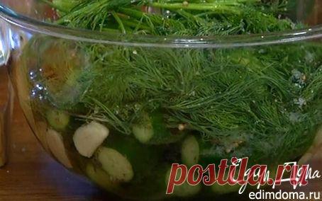 Маринованные огурцы на скорую руку | Кулинарные рецепты от «Едим дома!»