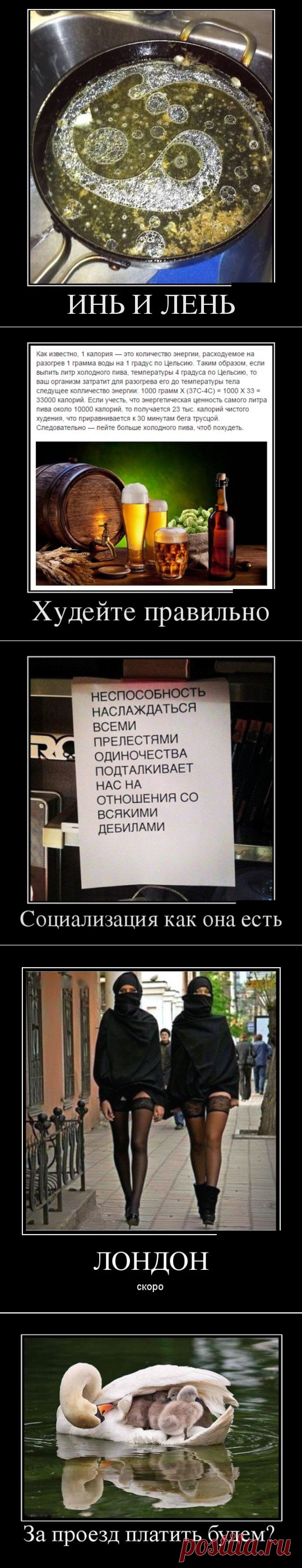 Демотиваторы + анекдоты подборочкой для хорошего настроения тем, кто заскучал