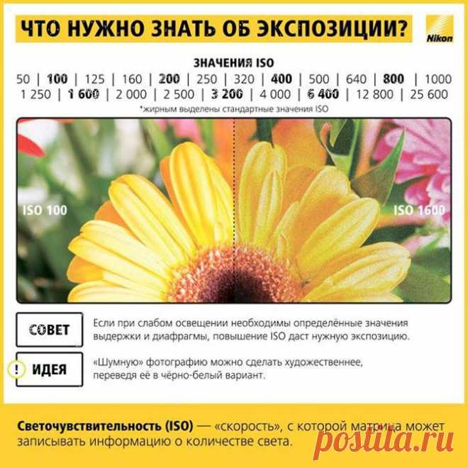 КОЛЛЕКЦИЯ ШПАРГАЛОК ДЛЯ НАЧИНАЮЩЕГО ФОТОГРАФА | Варварушка-Рукодельница