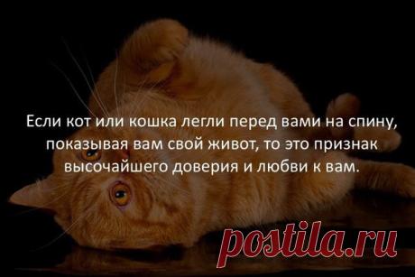 Лариса Захарова